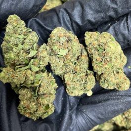 White Truffle Weed Strain